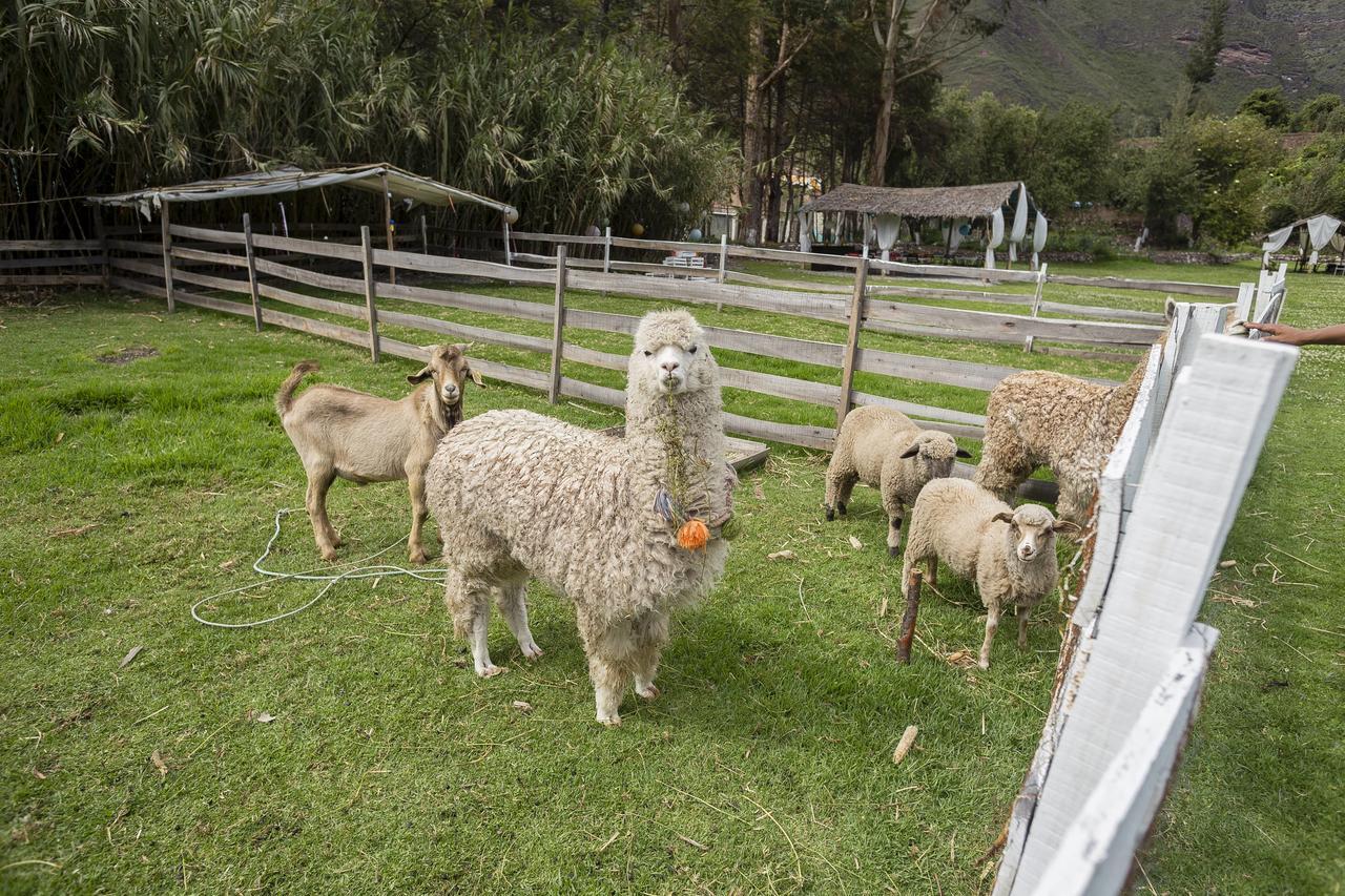 The Sacred Valley Lodge - Hotel Cusco Yucay Exteriér fotografie